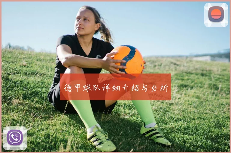 德甲球队详细介绍与分析