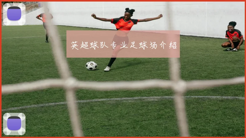英超球队专业足球场介绍