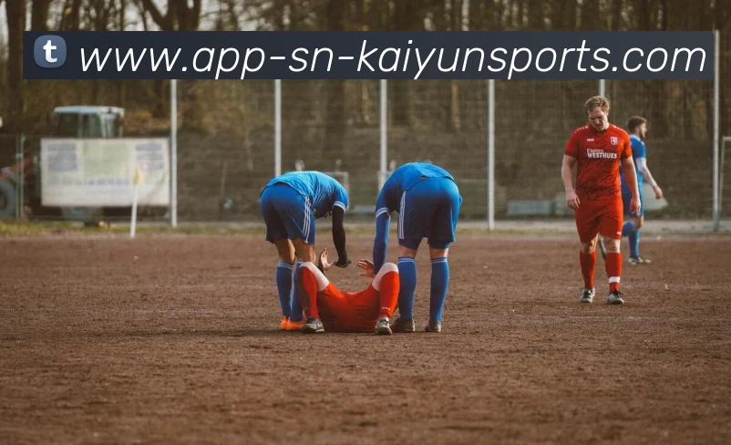 开云app平台生态图