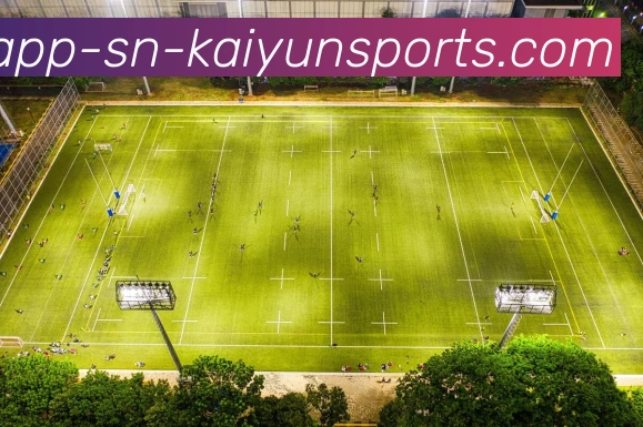 开云appAPP 封面图